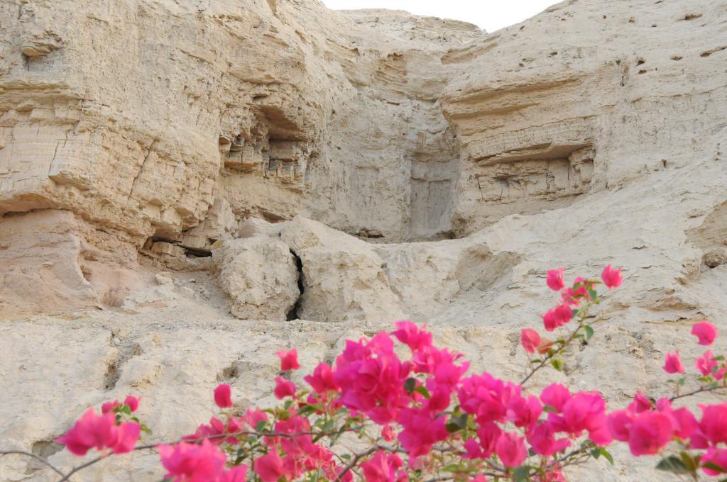 Dead Sea Dawn Villa Neot HaKikar Екстериор снимка